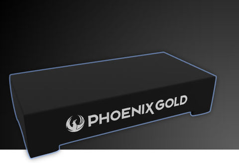 Phoenix Gold ZX210PBS - 10-Inch Slim Passive Subwoofer Box